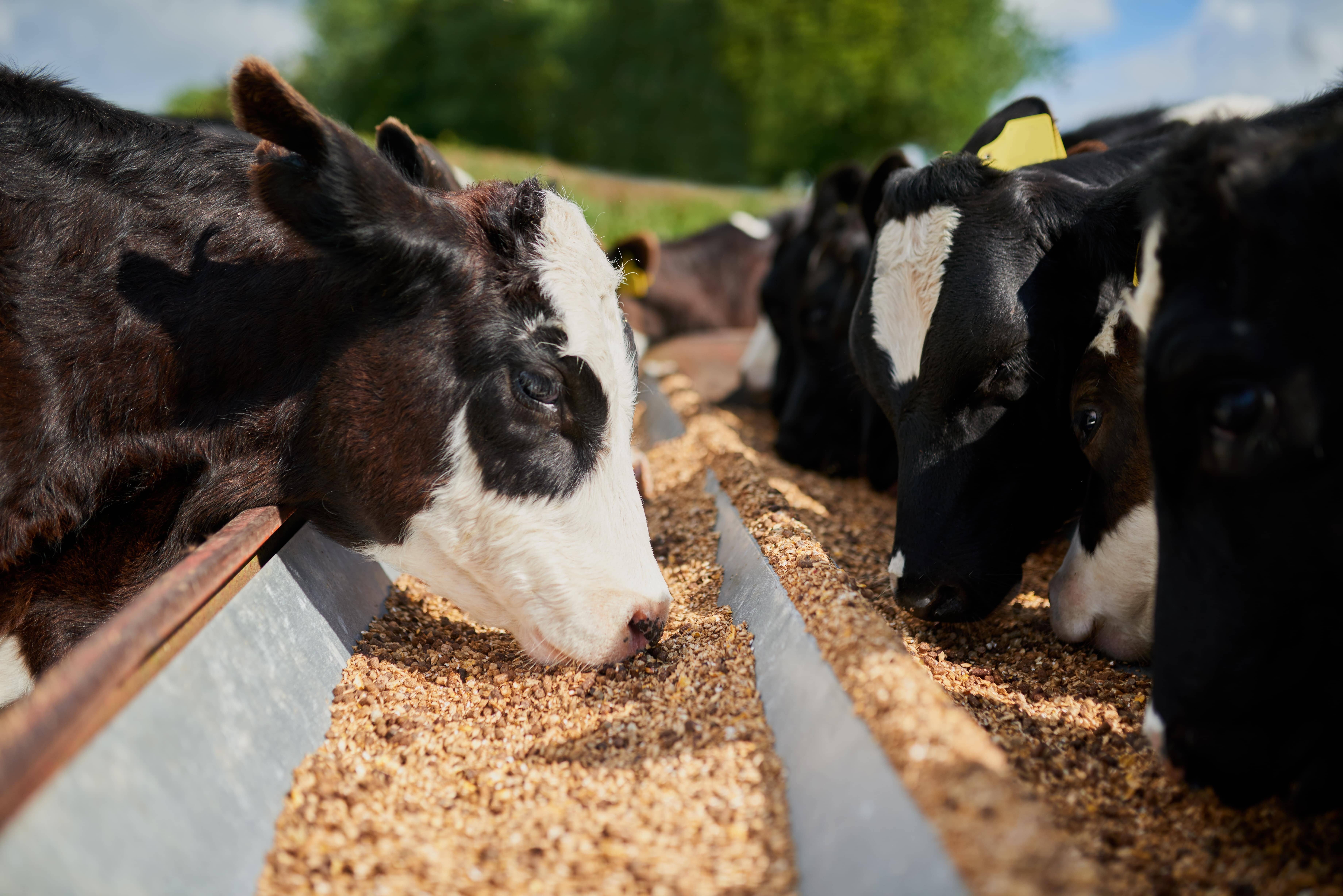 L'implication du secteur agricole