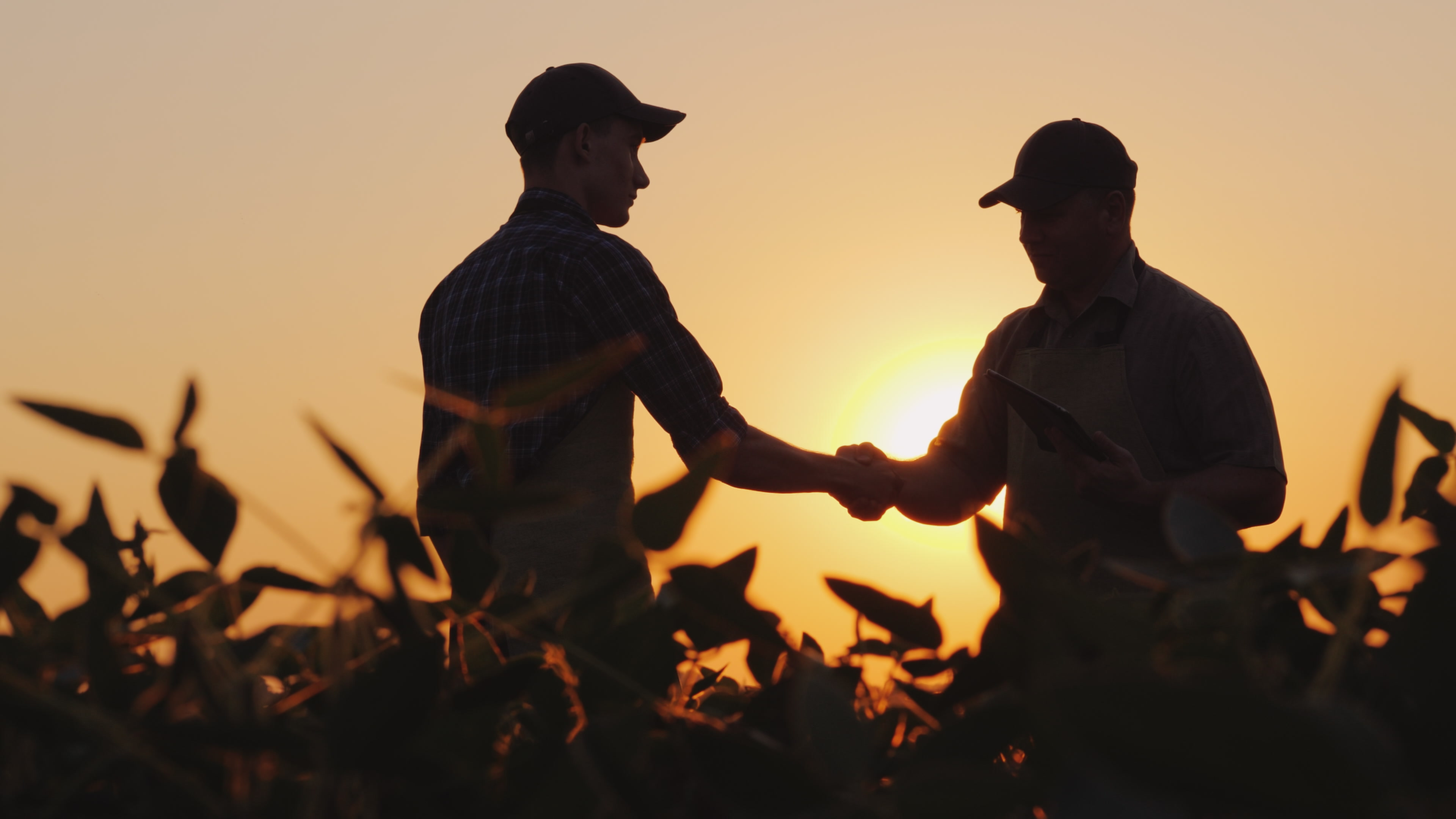 Une nouvelle dynamique pour l’export français grâce au lancement de la Team France Filière « Équipements et Solution pour l’Agriculture et l’Agroalimentaire