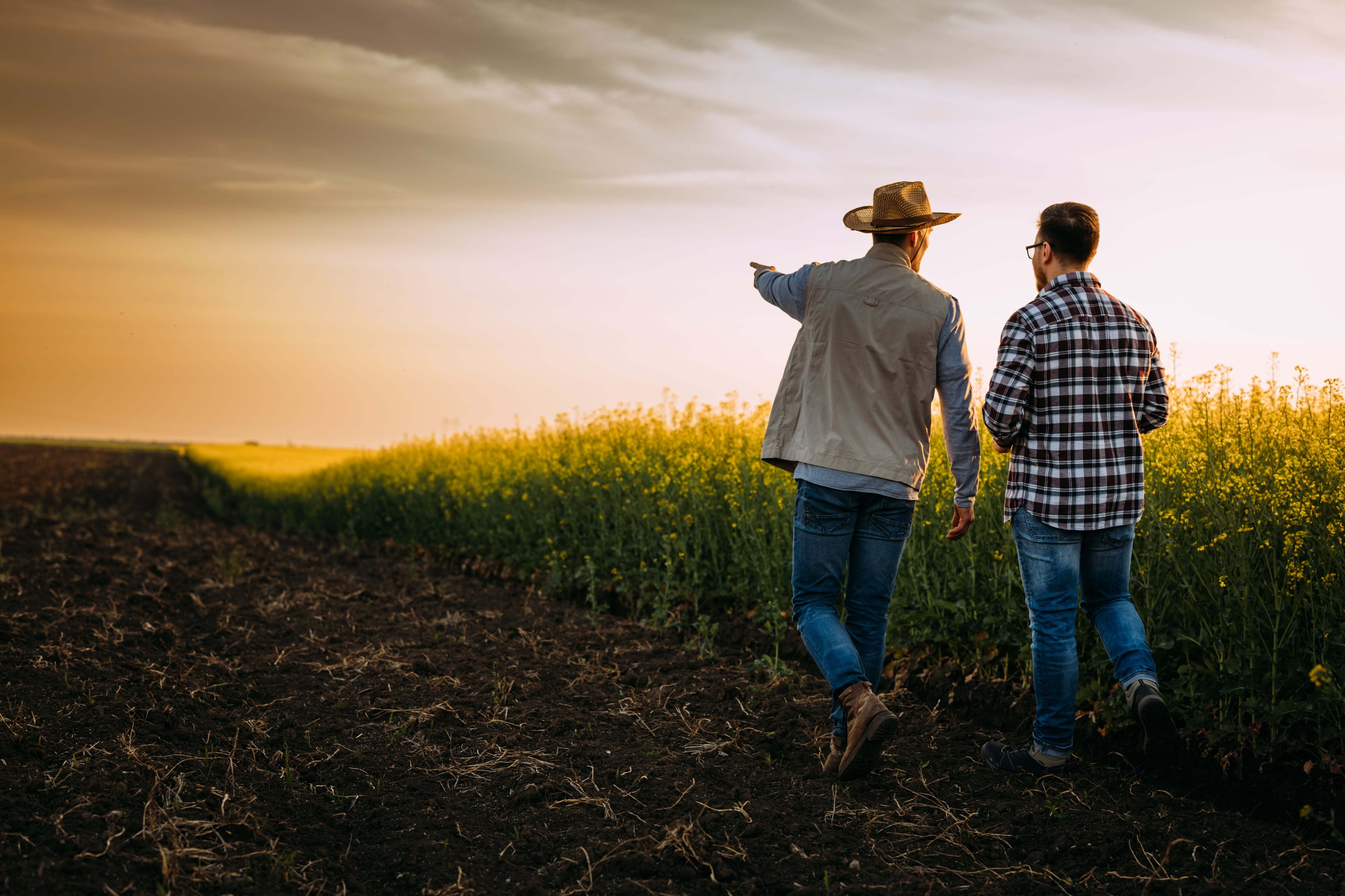 44 mesures pour faciliter la vie des agriculteurs