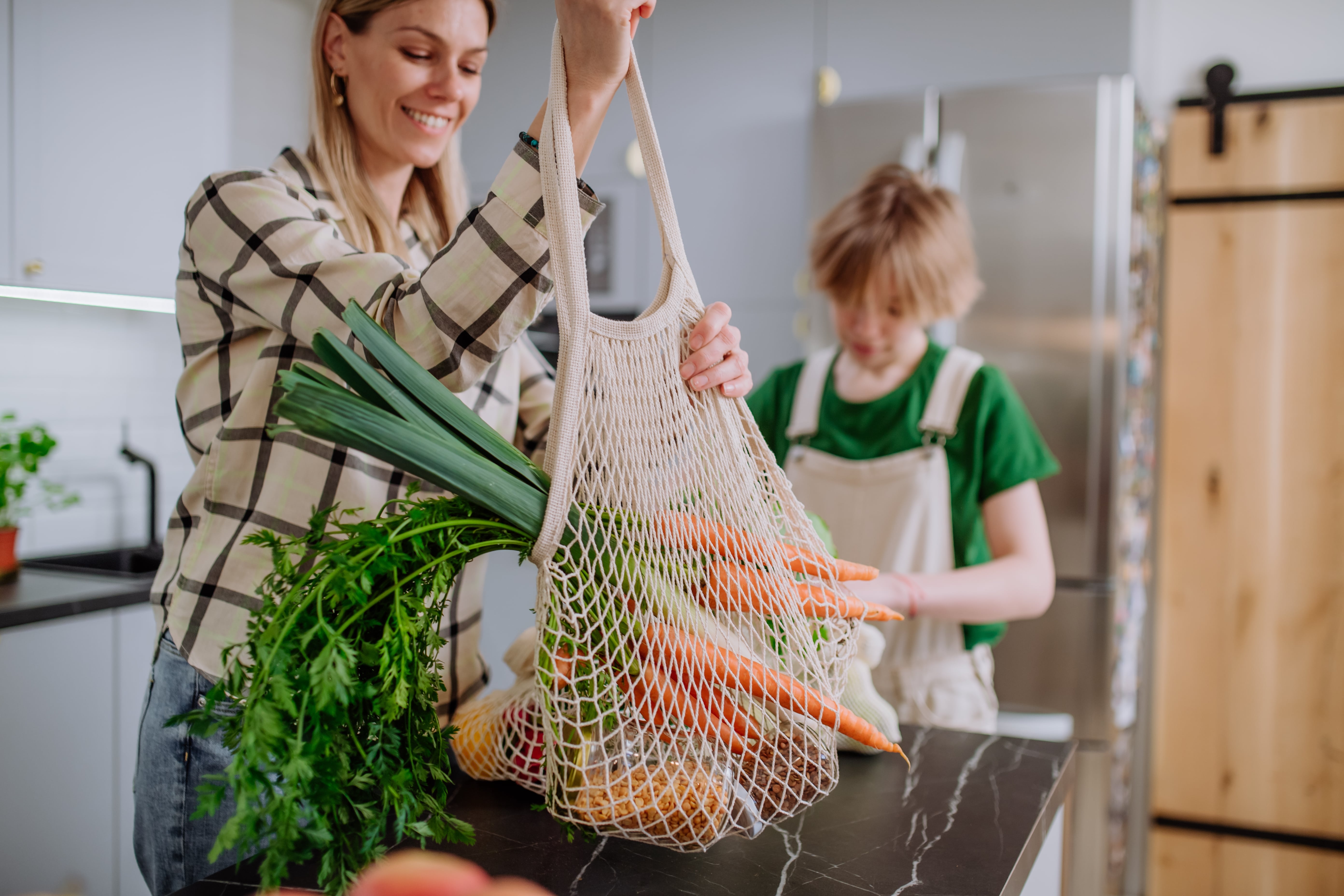 Vers une alimentation durable - contribution du projet européen Plan P