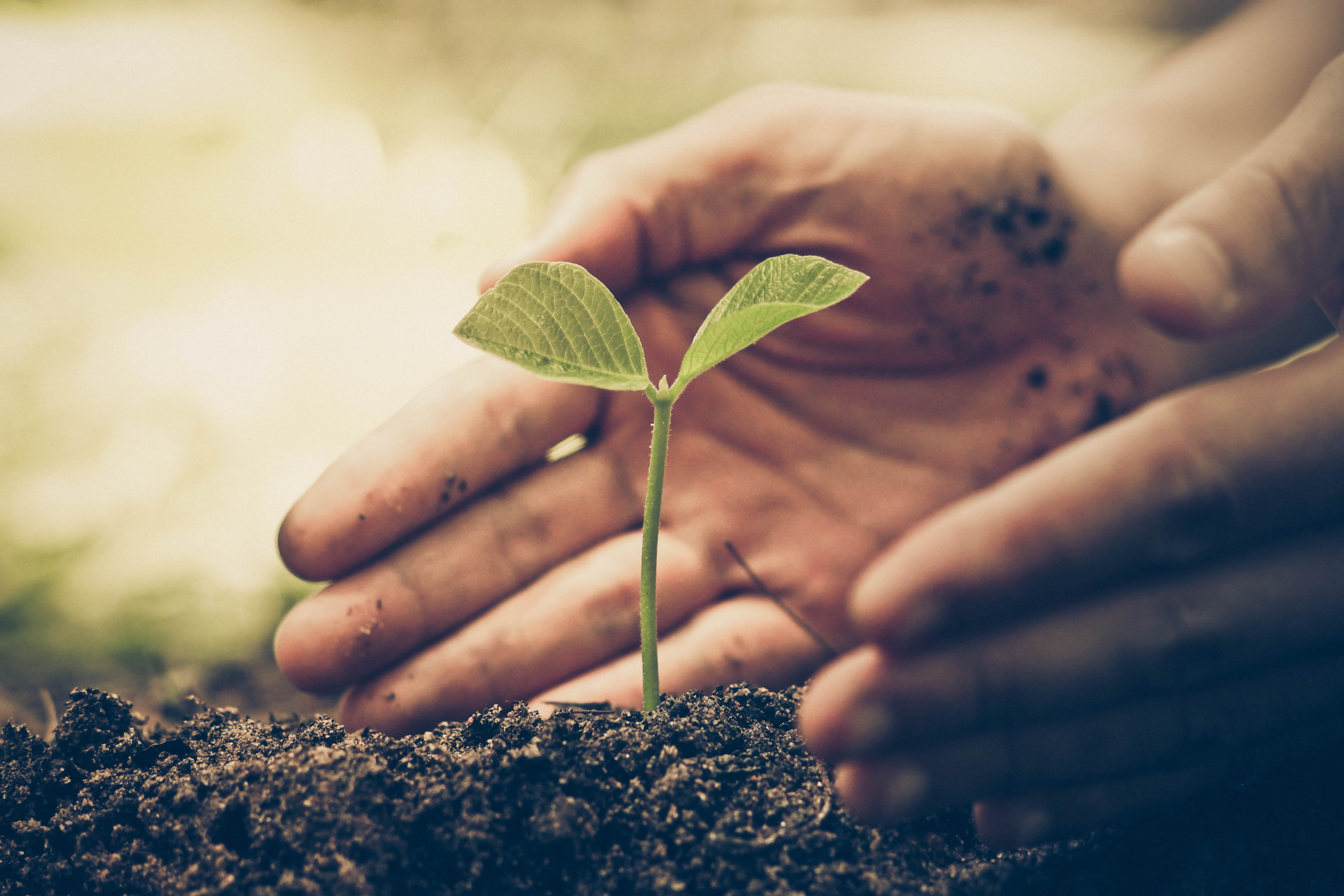 Agriculture biologique : panorama de l'année 2023