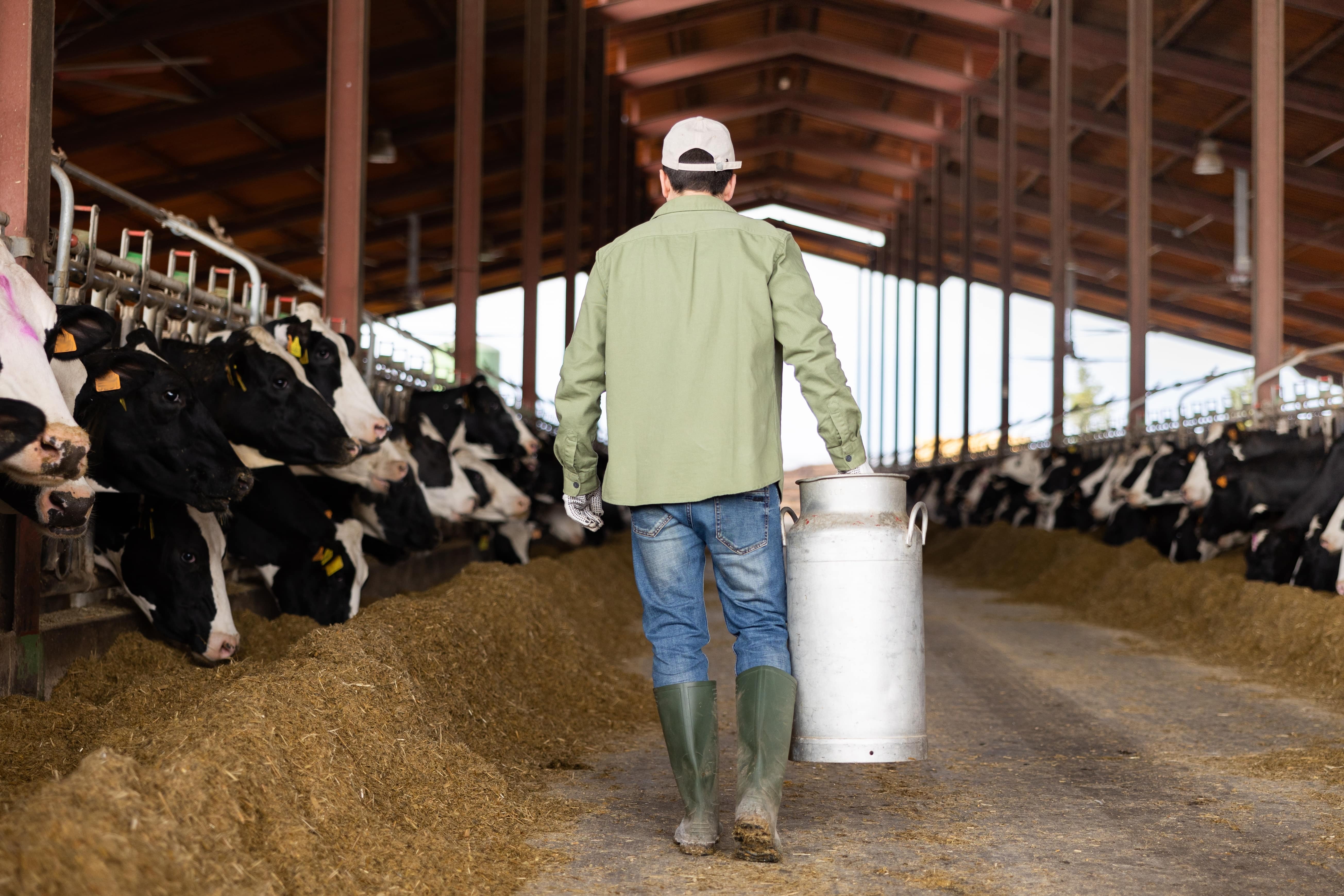 Le numéro un du lait réduit sa collecte dans les fermes françaises