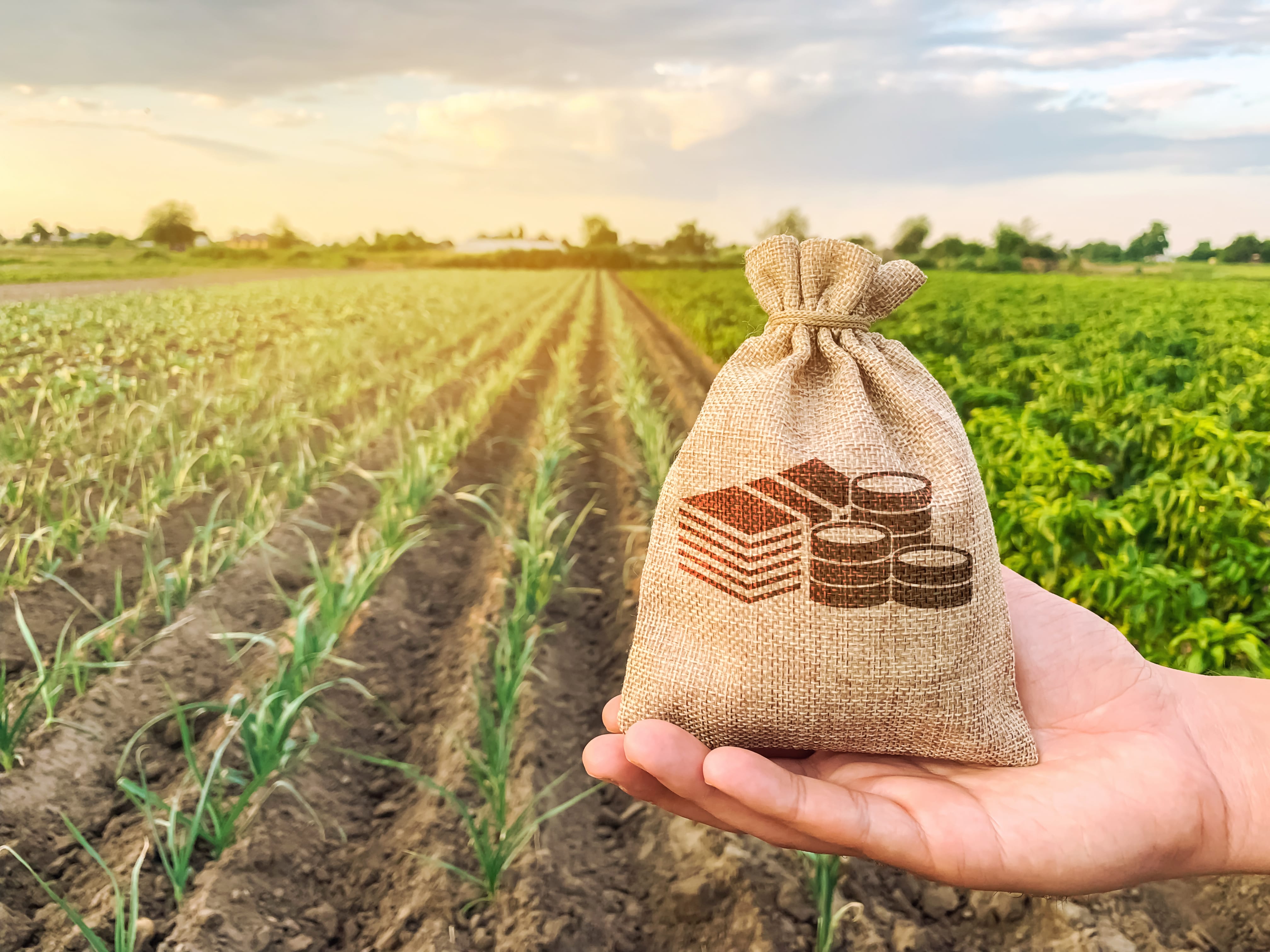 Fonds européen pour l’innovation un accroissement de la capacité de soutien à l’investissement agricole de 2 milliards d’euros-min