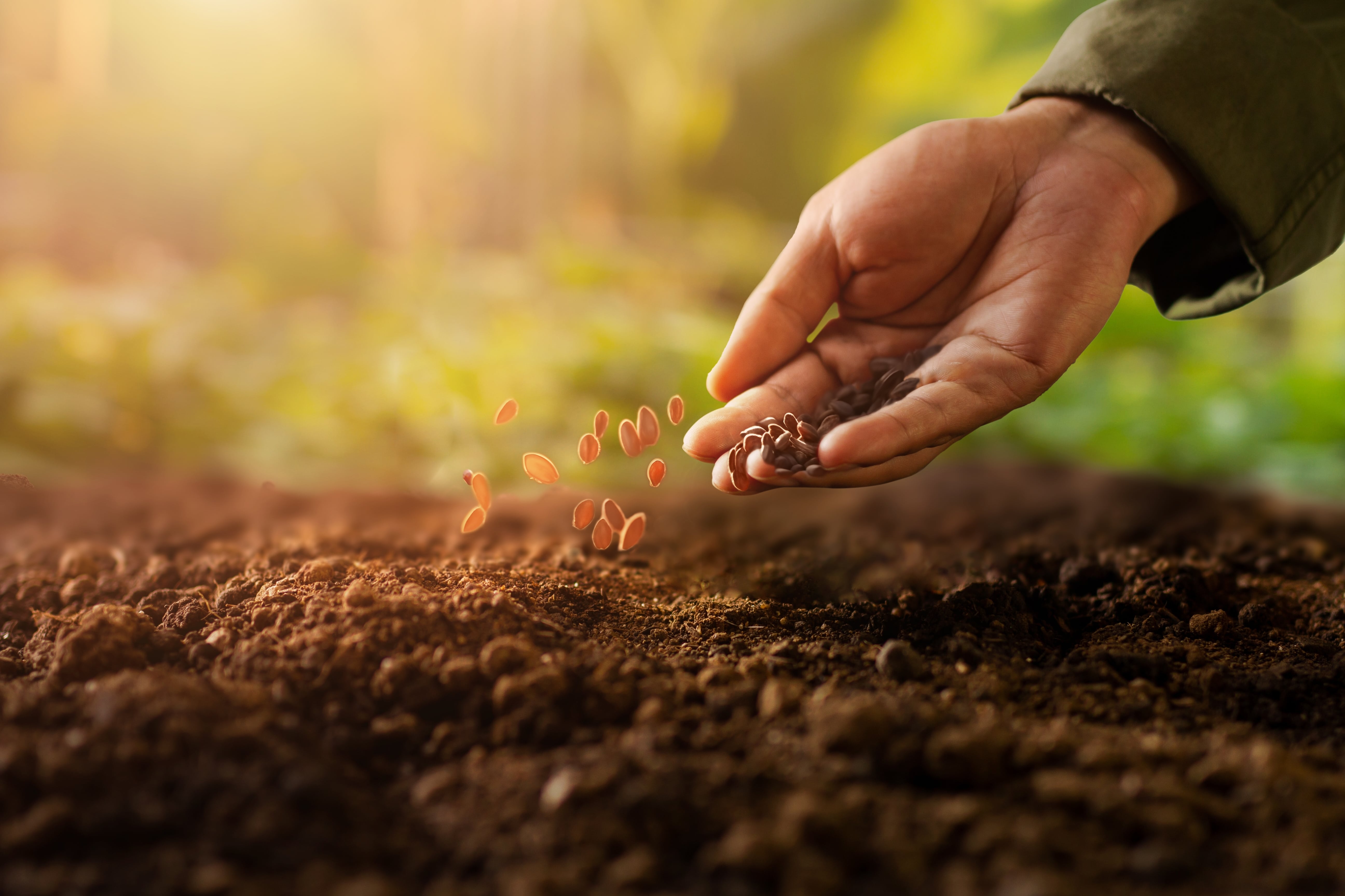 Agriculture et biodiversité 10 mesures pour un dialogue renouvelé entre l’OFB et les acteurs agricoles