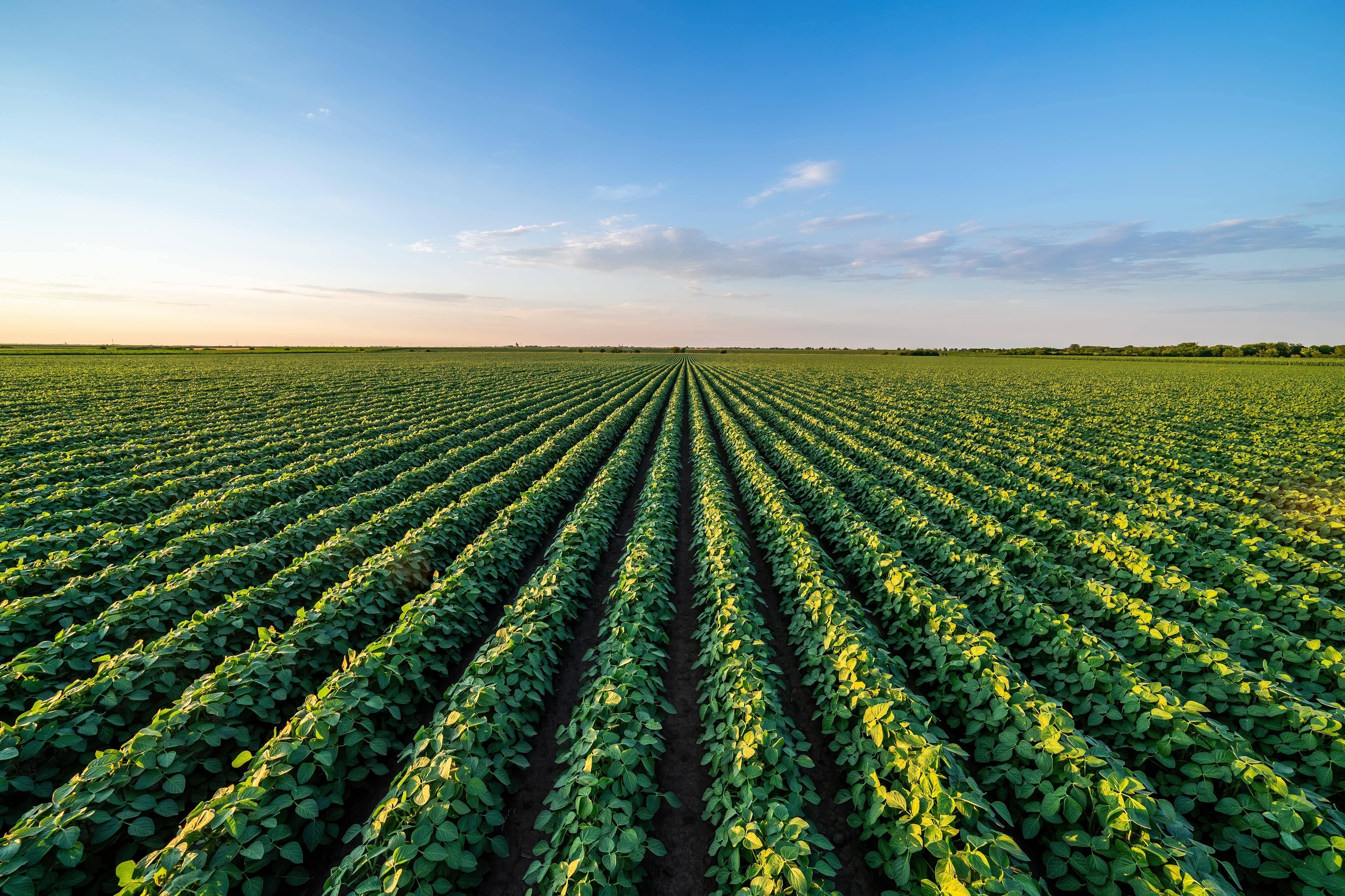 France 2030 deux nouveaux lauréats du secteur agricole retenus dans le cadre de l’appel à manifestation d’intérêt « Compétences et métiers d’avenir »-min-min